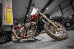 MG_1441-copie