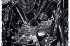 MG_1442-copie1