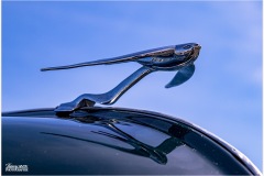 MG_1490-copie