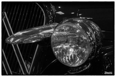 P6A2317-Edit