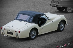 IMG_3694