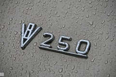 IMG_3873