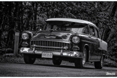 MG_6435-copie