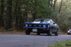 MG_6516-copie