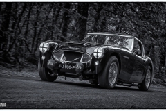 MG_6522-copie2