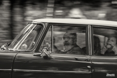 MG_6543-copie