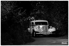 P6A2362-copie