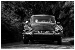 P6A2386-copie