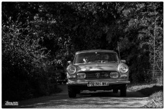 P6A2395-copie