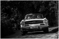 P6A2412-copie