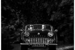 P6A2433-copie