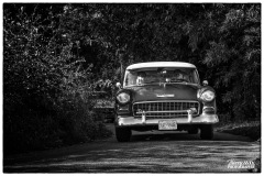 P6A2450-copie1