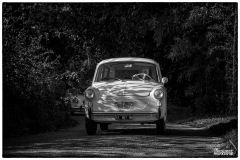 P6A2454-copie
