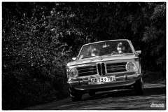 P6A2459-copie1
