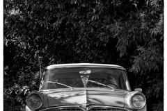 P6A2464-copie