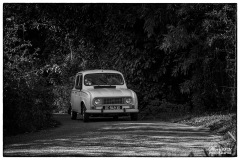 P6A2466-copie