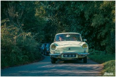 P6A2476-copie