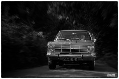 P6A2479-copie