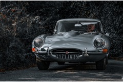 P6A2492-copie