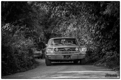 P6A2497-copie