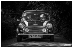 P6A2503-copie