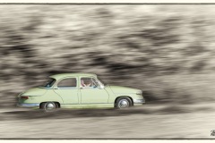 P6A2836-copie