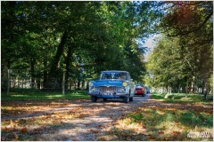P6A3065-copie