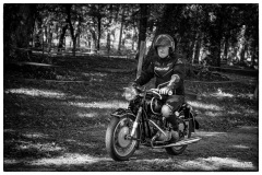 P6A3097-copie