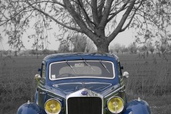 IMG_6961