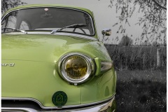 IMG_6969