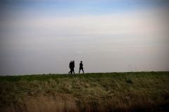 IMG_6978