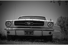IMG_6893