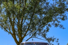 IMG_6894_1