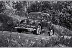 MG_1614-copie