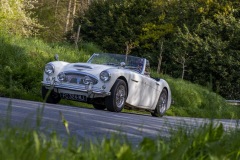 MG_1619-copie