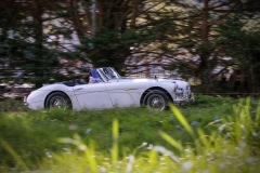 MG_1920-copie