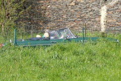 MG_2176-copie