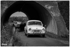 P123-copie