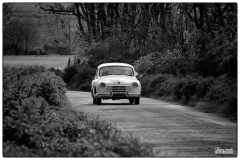 P128-copie