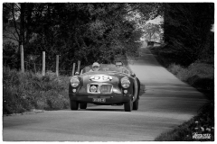 P59-copie1
