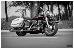 P7001-copie3