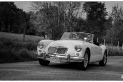 P6A0736-copie
