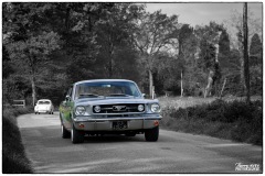 P6A0742-copie