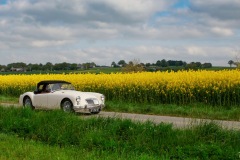 P6A0791-copie