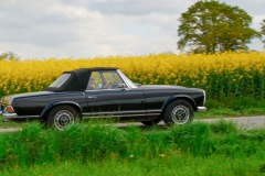 P6A0872-copie