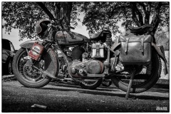 P6A0984-copie