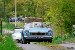P6A1061-copie