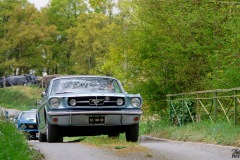 P6A1109-copie