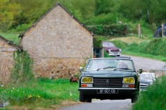 P6A1160-copie