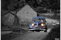 P6A1173-copie